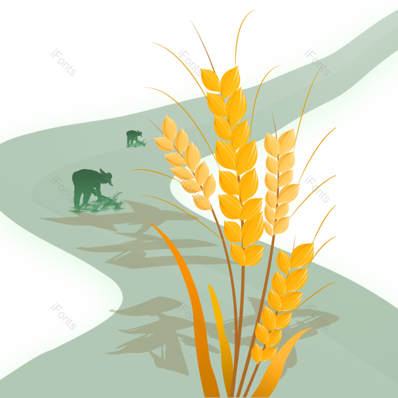 芒种图片,秋天元素,麦子PNG,丰收免抠素材